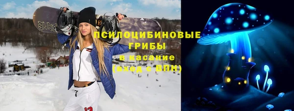 сатива Балахна