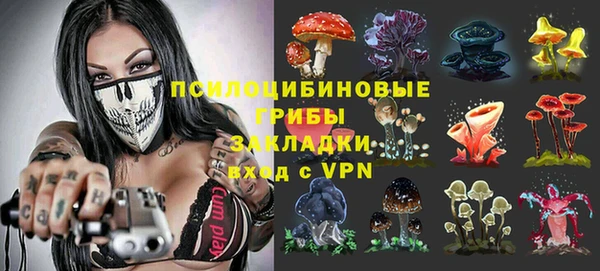 spice Балабаново