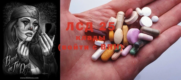 сатива Балахна