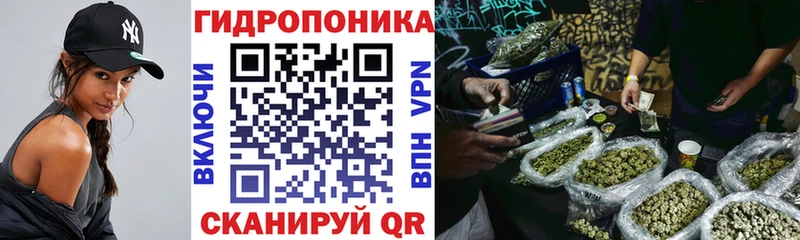 Конопля AK-47 Озёры